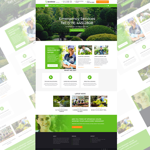 website design